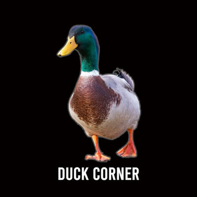 Duck Corner